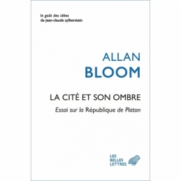 La cité et son ombre. Essai sur la République de Platon